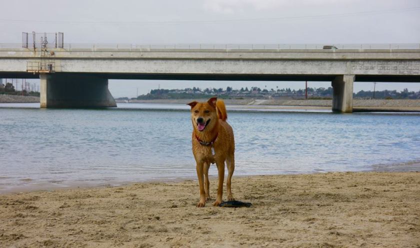 14906850_1249232608451967_6492250659309113879_n